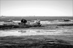 Grado