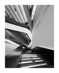 Maxxi