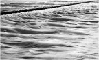 un mare di plastica