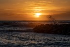 Focene_RM_Apr2022