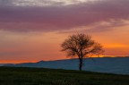 alba sulla Val d'Orcia