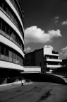 Linee dritte , curve e oblique