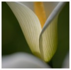 Morbidezza 1 Morbidezza 1