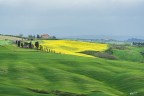Verde.. giallo..