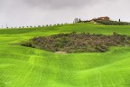 Fioriture nel verde della Val d'orcia..