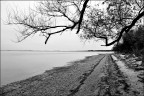 Monfalcone