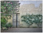 primavera interna