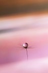 In the drop In the drop