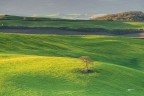 Val D'orcia..