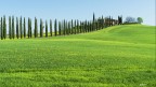 Il vialetto cipressato..