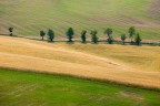 Paesaggio di collina nel Bolognese