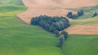 Paesaggio di collina nel Bolognese 2