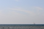 Mini....mare