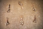 opera d'arte naturale