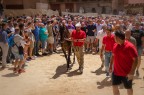 verso il Palio