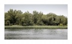 Foce dell'Isonzo