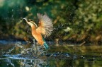Luce sulla Pesca