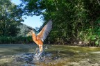 macchina in acqua su treppiede e grandangolo