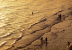 Sul mare dorato