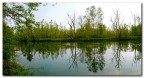 lanca del ticino,