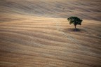 Val d'Orcia