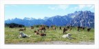 Casera Varmost (UD) 1750m.