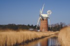 Thurne, Norfolk, March 2022