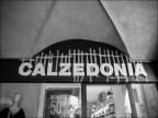 Reggicalze....donia