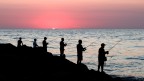 Pescatori di tramonti Pescatori di tramonti