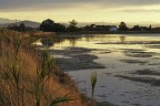 Oasi, il respiro della sera