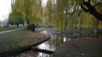 Panasonic DMC-LX2
f/2.8
1/640 sec.
ISO 100

Luogo: Parco di Stoccarda (Schlossgarten)