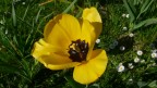 Panasonic DMC-LX2
f/7.1
1/500 sec.
ISO 100

Luogo: Mnster (NRW - Germania)