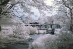 Nikon D3100
f/3.5
2 sec.
ISO 200
18 mm

Filtro: Infrared R72
Foto con post-produzione

Luogo: Parco Planten un Blomen, Amburgo
