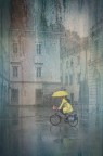 coordinato giallo