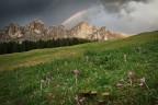 Fusione di 2 scatti in foto stacking