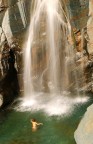 Bagno primordiale