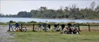 Picnic