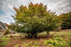 Aspettando l'autunno...
