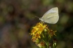 Macro Ott2022, sembra primavera