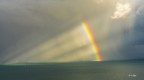 La parte finale dei colori..