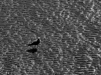 Bassa marea, a passeggio