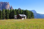 Canon 80D - f14 -  t1/80 - iso 125 - 29mm
Dolomiti: Ciampedie, Val di Fassa