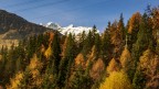 Verso l'inverno