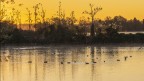 Prime luci sul lago..