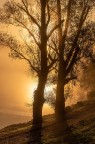 st