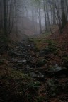 Perdersi per ritrovarsi