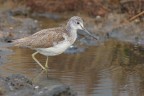 Pantana_DSC6080