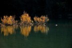 Adda