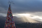 l'albero magico