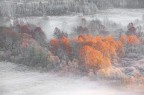 Gelata con i colori caldi dell'autunno ancora presenti